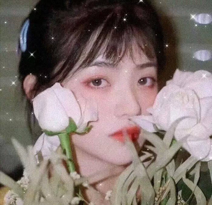 情冷芳心