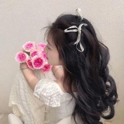 至上之法